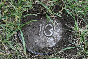 Photo by Roger Luther at www.nysAsylum.com