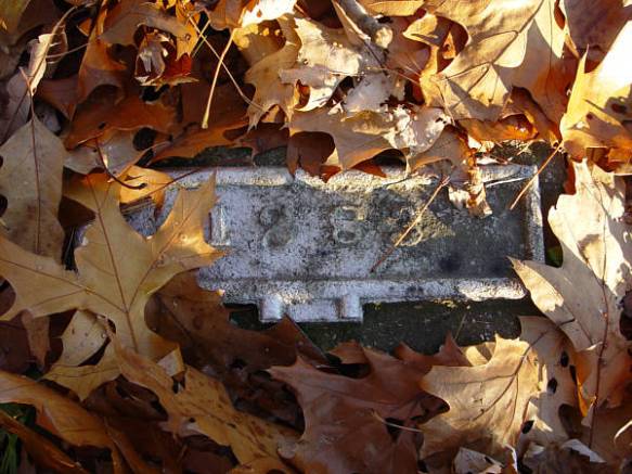 Binghamton Cemetery 2 by Roger Luther