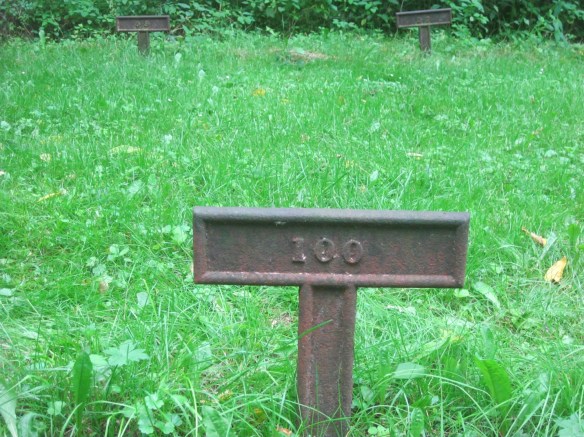 Cast Iron Monument #100 in the Wheater Road Cemetery in Gowanda