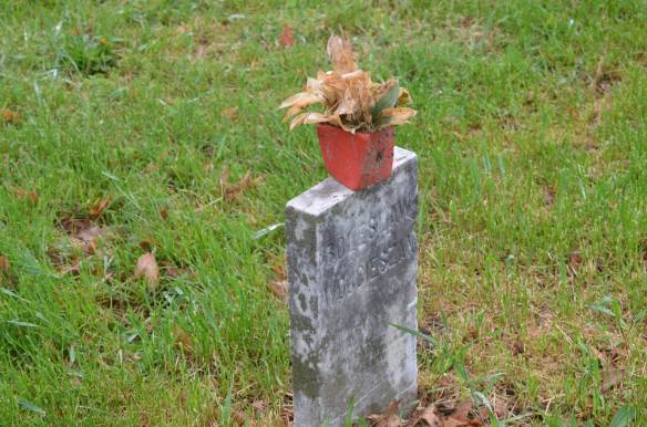 Craig Colony 5 - 6.2013